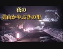 ちょっと夜の美山かやぶきの里行ってくる PT272