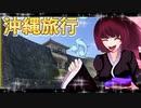 グロかわちゃんの沖縄旅行⑤