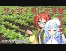2023年3月31日　農作業日誌P585　ジャガイモの土が少ないから土を寄せよう！生育順調なり　VOICEVOX