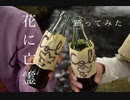 【dcst】花に亡霊踊ってみた【コスプレ】