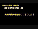 紅子の宇宙船 －音声版－ 2023年03月31日