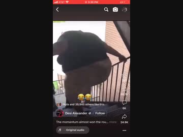 ホモと見る階段で転んでMAP兵器と化したデブ女