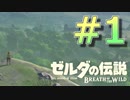 新作発売までに完走を目指すブレワイ実況！【ゼルダの伝説 BotW 実況】