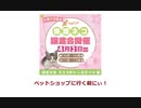 保護ねこの家譲渡会