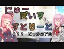 【スーパーマリオブラザーズ】にゅー・ぼいすすとりーと ＃？？「どっかのアホ」