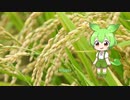 深夜に何やってんだろ