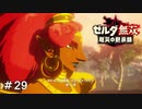 王と姫、見守る姉御　ゼルダ無双 厄災の黙示録実況　#29