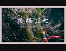 【桜雅】夜桜お七　踊ってみた【オリジナル振付】