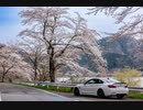 【海津大崎】花見ドライブ車載動画【前編】