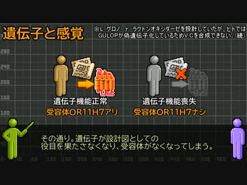 【ゆっくり解説】嗅覚とOR6A4