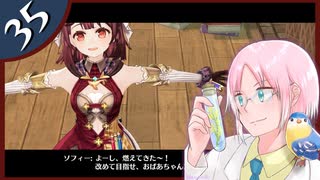 【ソフィーのアトリエDX】飛ぶ本とぶっ飛んだウキウキ錬金術師 #35【初見実況】