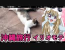 ゾンビーナちゃんの沖縄旅行,那覇離島イリオモテヤマネコ