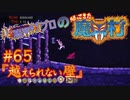 超魔界村プロの【帰ってきた魔界村】実況#65『越えられない壁』