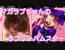 マガラブのハムスターの日常33