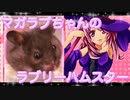 マガラブのハムスターの日常35