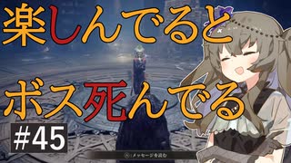 エルデンリング #45 バトルジャンキー地方領主をすげ替える【鞭メイン】