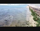 ドローン陸海空軍　引き潮！