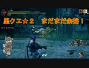 【縛りプレイ】無限の弾で進む道　その２【モンスターハンターライズ：サンブレイク】