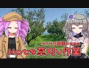 2023年4月1日　農作業日誌P586　みかんの苗木を植えるのかと思ったら、草刈りばかりしていた出稼ぎ日　VOICEVOX