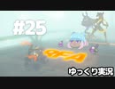 【RFA】運動してもバカ　その25【ゆっくり実況+生身注意】