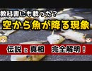 【ゆっくり解説】「なぜ」空から物が降ってくるのか　─ファフロツキーズと「ええじゃないか」─