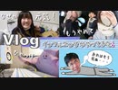 【かんあきチャンネル】★Vlog★インフルエンザがやってきた！みんな全滅してしまうのか・・・？