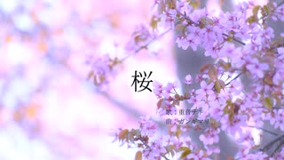 桜 / 重音テト