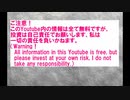 ご注意、投資は自己責任でお願いします。（Warning、Please invest at your own risk ）