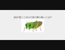 DSが狙うコオロギ食の真の狙いとは!?