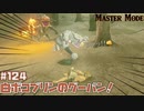 神獣解放せずにマスターモードでカノン討伐を目指すッ！【マスターモード編】#124