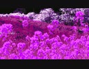 Chiyuri Chiyuri Chiyuri @Chiyuri Nagayama #favs