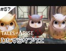 #57【フクロウ探しながら】テイルズオブアライズ実況してみました