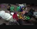 変なおじさんとこの　鶏さん３８４　超極太大根一本　おねがいしまーーす！！