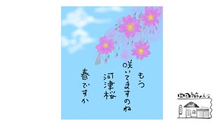 【第121回】ワラビ整理と水耕栽培と河津桜