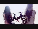 コバルト　　/Vo.きりたん