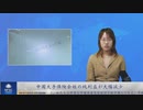 中国大手保険会社の純利益が大幅減少