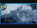 【WOLONG】一匹のおっさん、三国志を駆ける #23【実況】