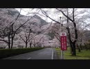 Petals under Raining / 雨の下北山スポーツ公園にて