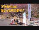 【きずマキ車載】マキちゃんとちょっとそこまで！Dest.20-1_筑波山梅まつり