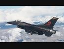 黒いF-16アグレッサー