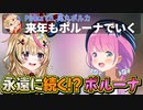 今年もポルーナでいく！は終わらない！【姫森ルーナ/尾丸ポルカ/ホロライブ切り抜き】