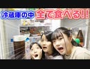 【ろこまこあこ】【大食い】冷蔵庫の中身全て食べきれるまで終われませんをやってみた結果・・・