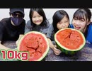 【ろこまこあこ】【大食い】スタッフさんと一緒に巨大スイカ10kgを色々な味付けで大食いしてみた！！