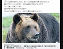 考えつかなかった熊から身を守る方法　あまり有効ではないが4番目の方法としてはありかと