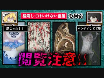 【閲覧注意!!】ハイスピードで30個検索してはいけない言葉をゆっくり解説 part21