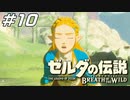 不機嫌な姫と近衛騎士 ゼルダの伝説 ブレスオブザワイルド マスターモード Part10【ゲーム実況】