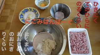 煮込みハンバーグ【白米入り】作って食べる動画