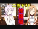 【SAOHF】世界で1番キリトが嫌いです#43【ソードアートオンラインホロウフラグメント】