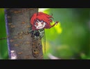 リンリンゼミ.mp4