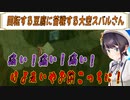 回転する豆腐に苦戦する大空スバルさん